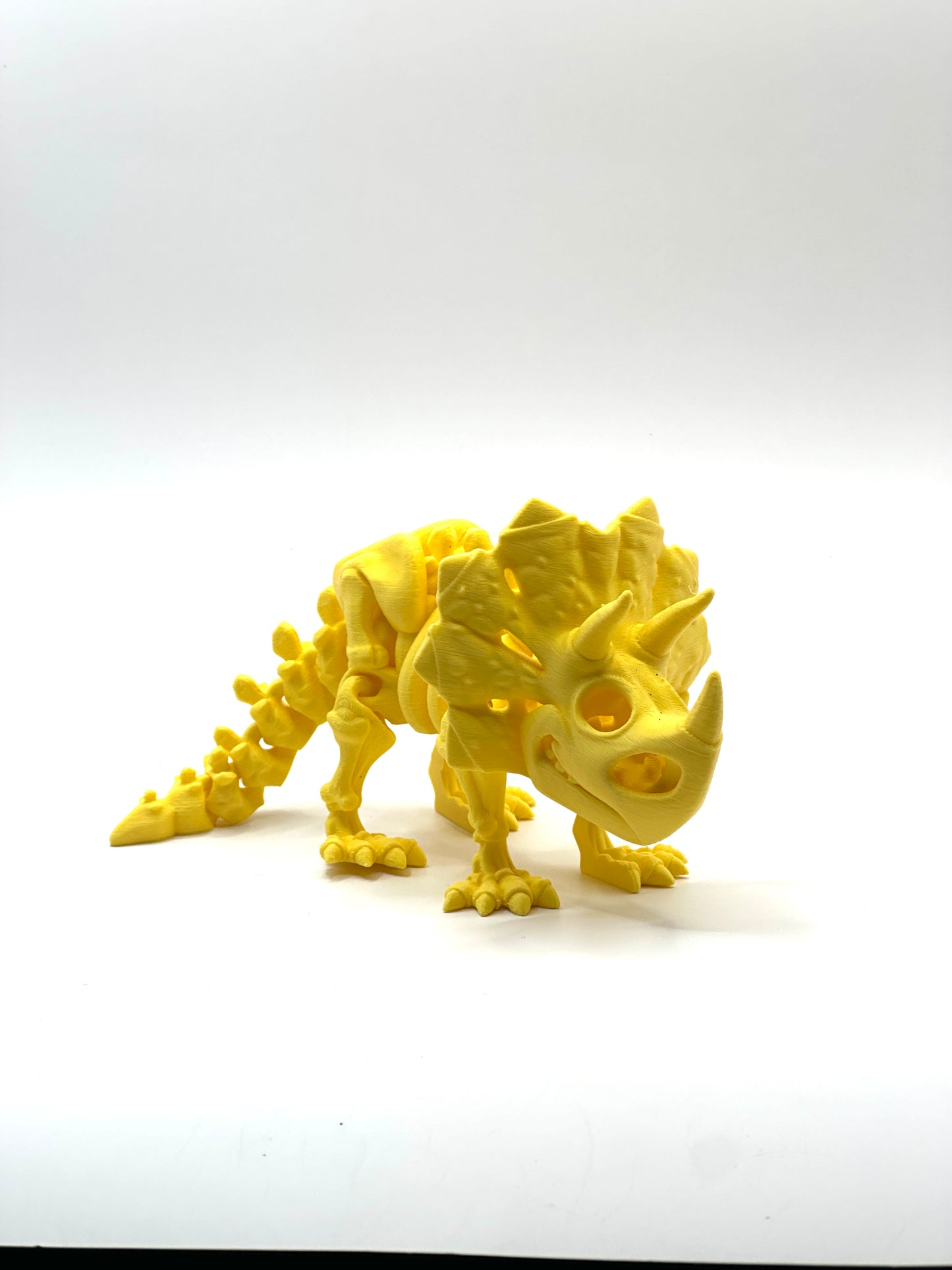 Skeleton Triceratops
