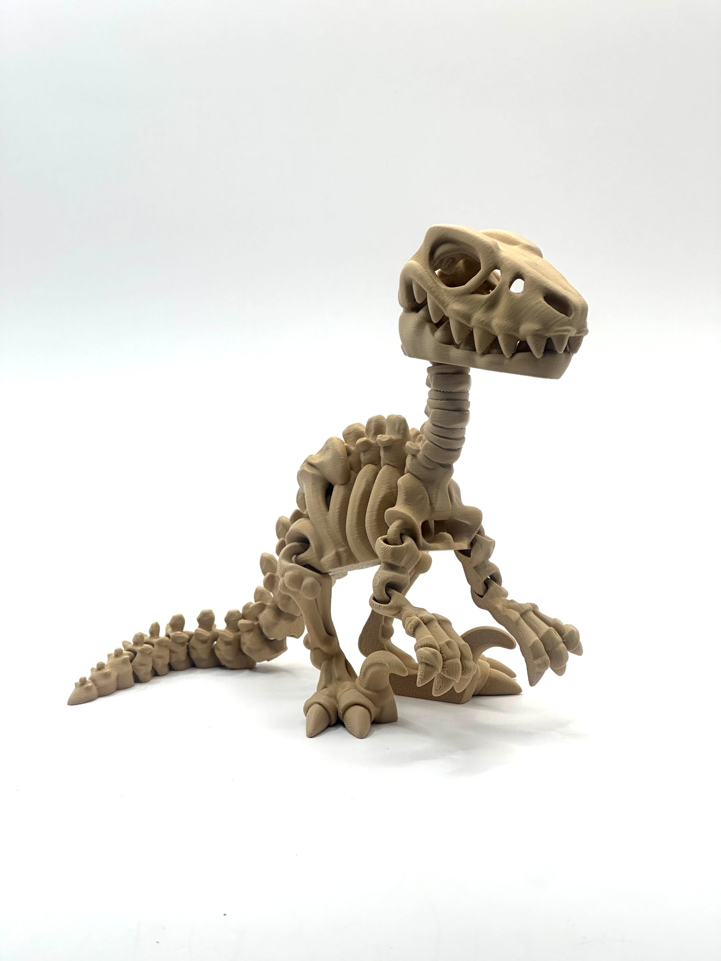 Skeleton Raptor