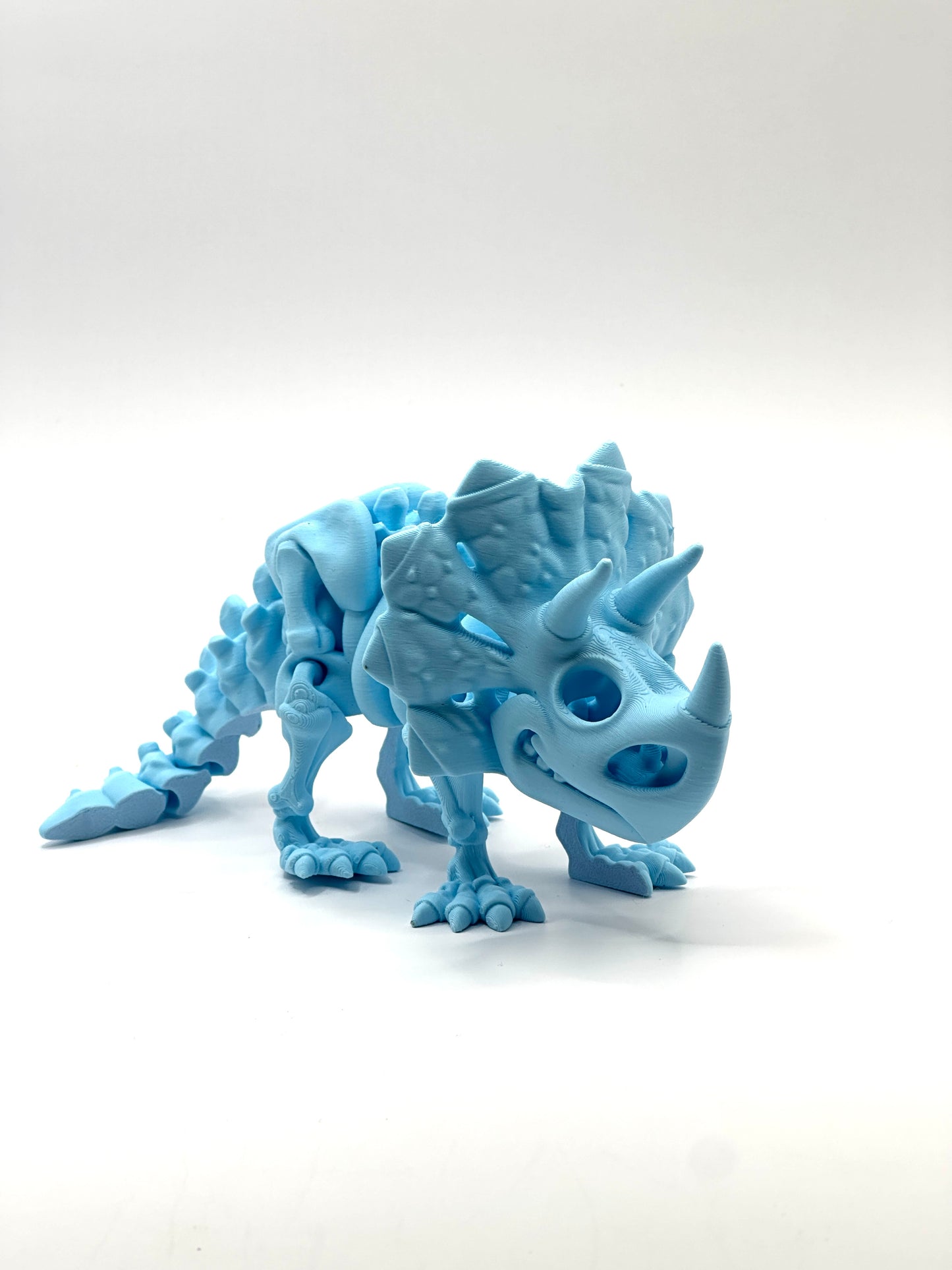 Skeleton Triceratops
