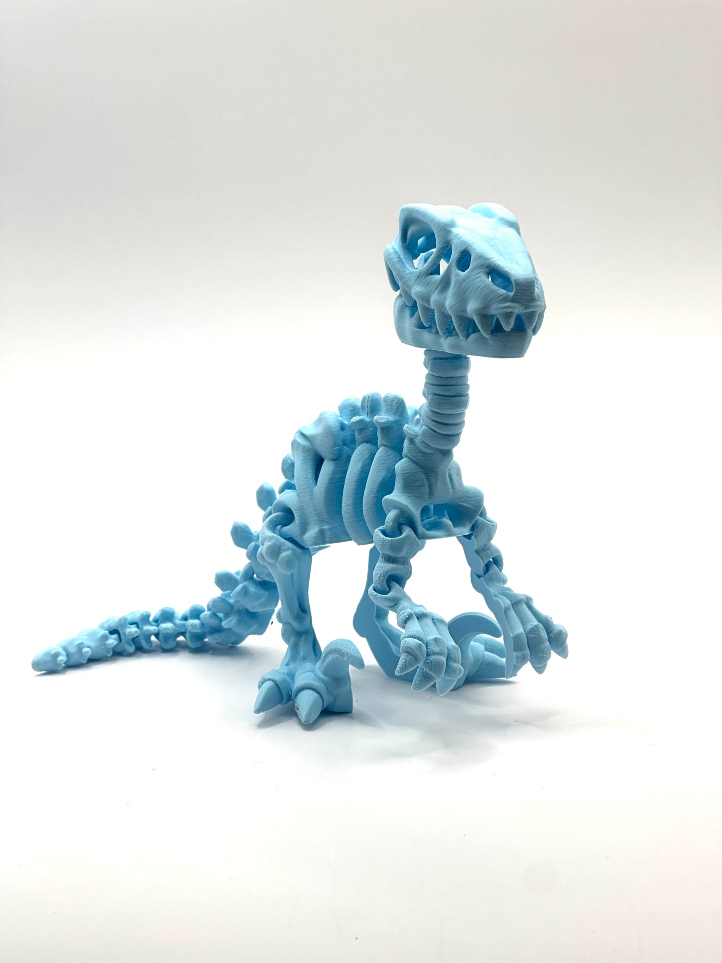 Skeleton Raptor