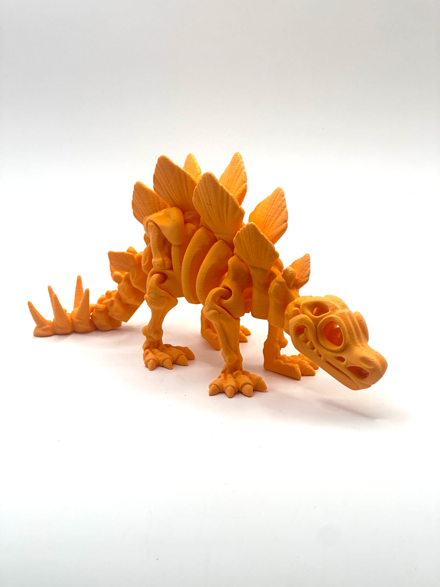 Skeleton Stegosaurus