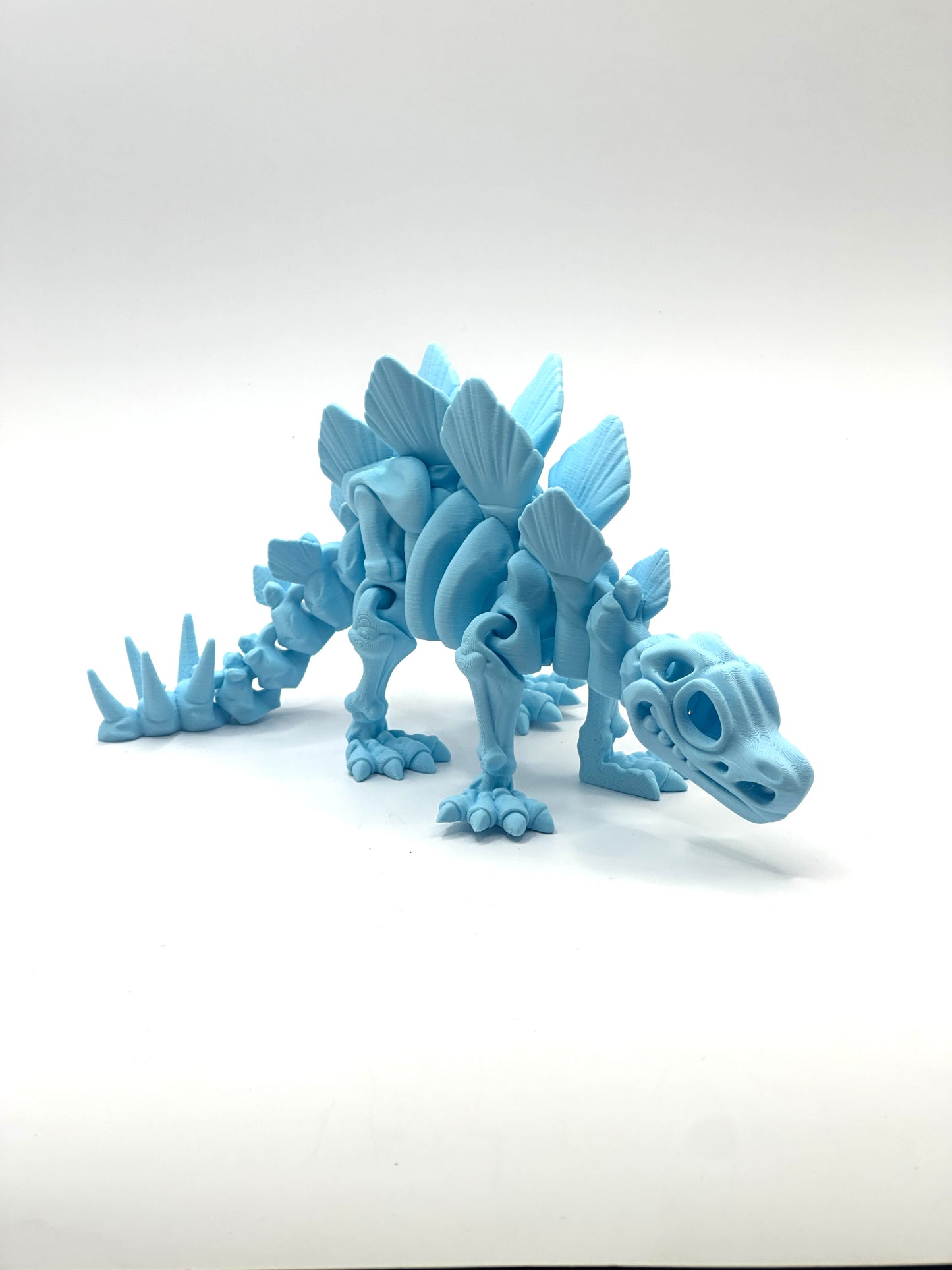 Skeleton Stegosaurus