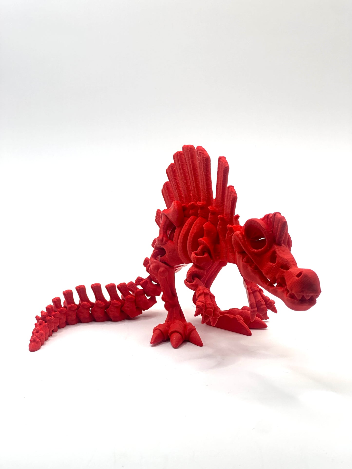 Skeleton Spinosaurus