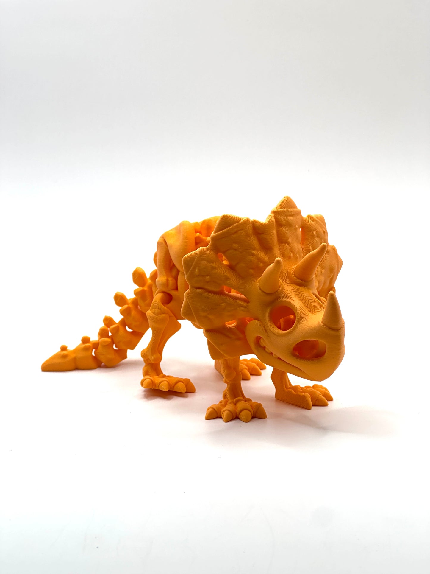 Skeleton Triceratops