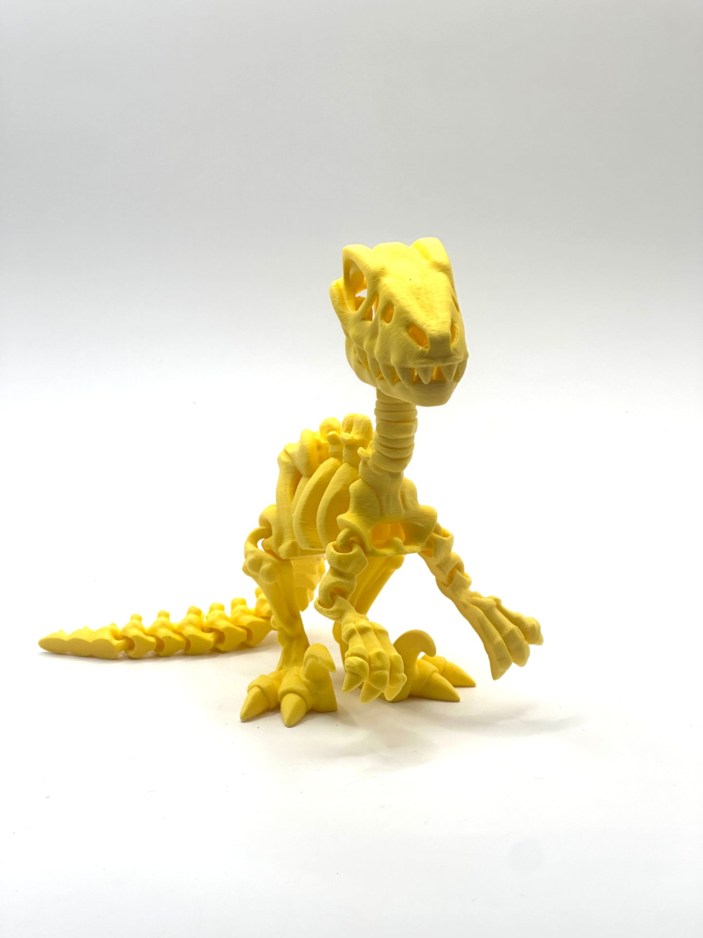 Skeleton Raptor