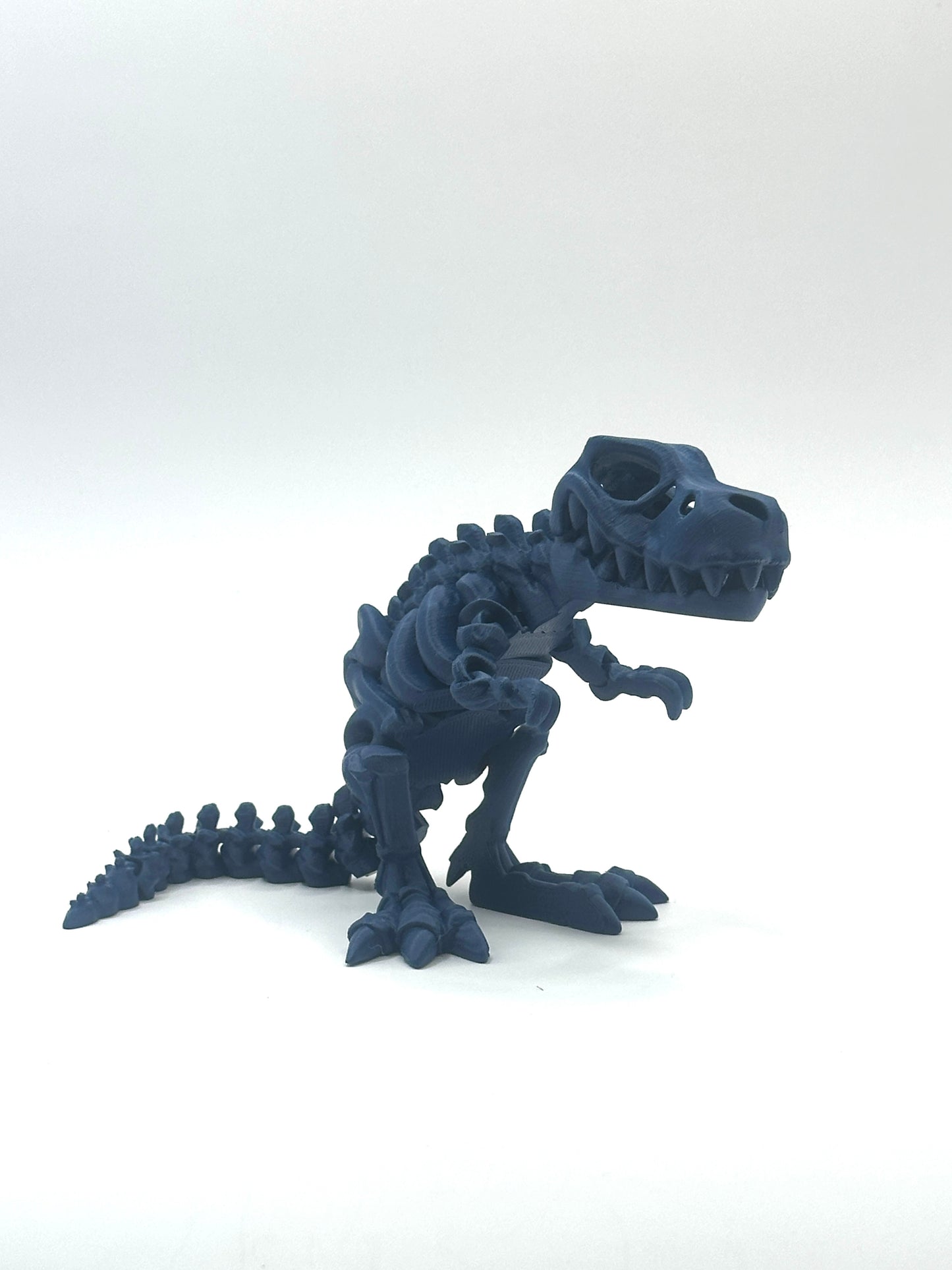 Skeleton T-Rex