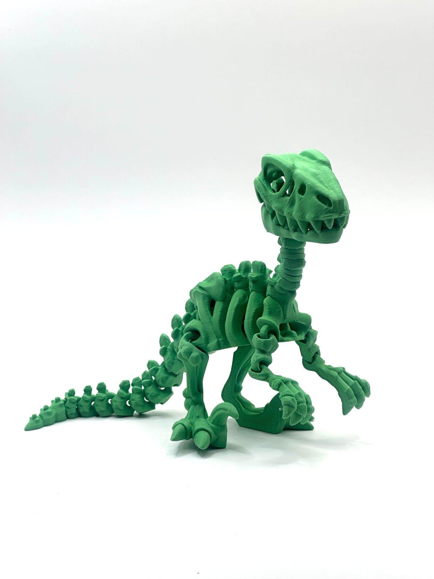 Skeleton Raptor