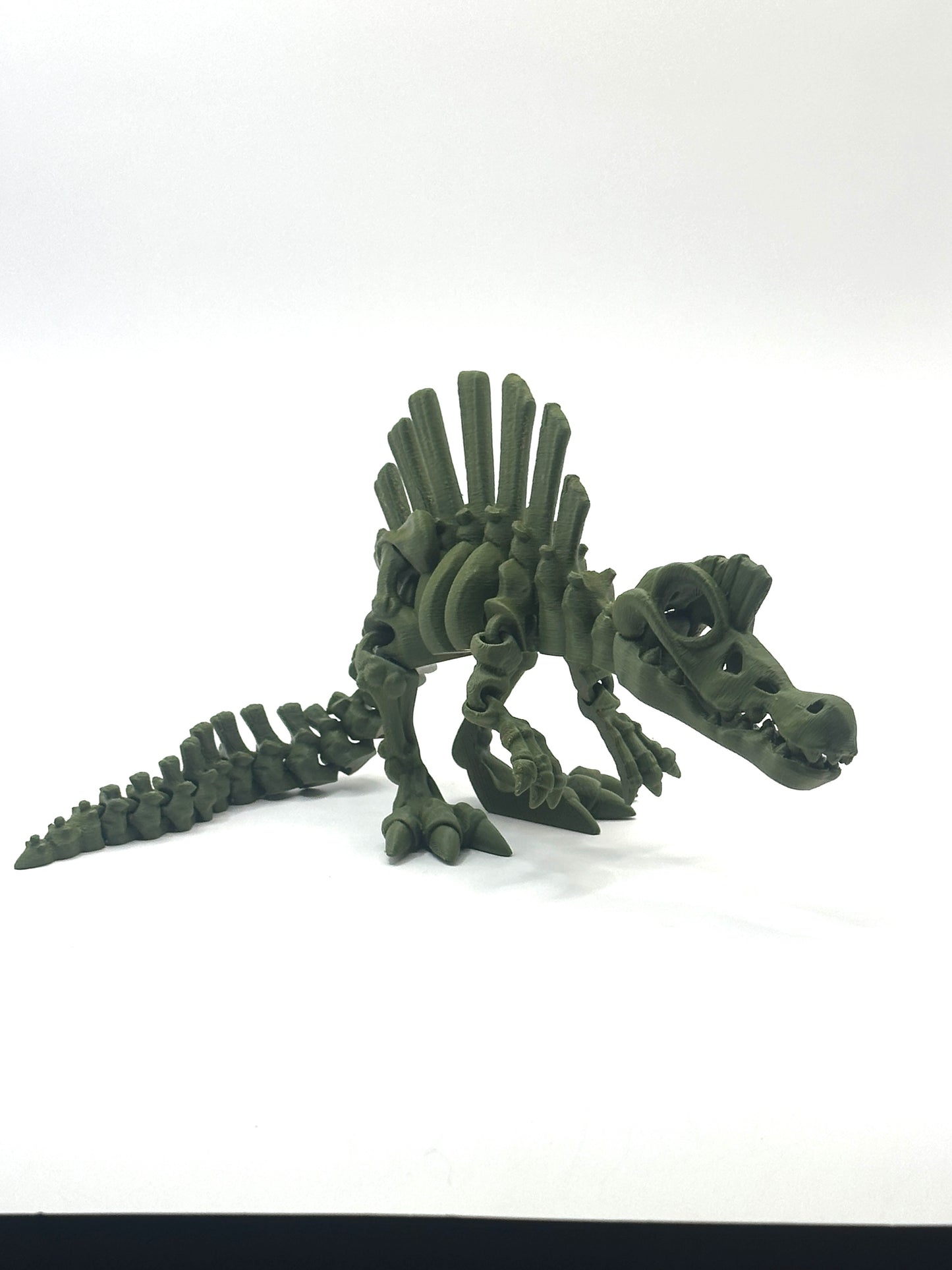 Skeleton Spinosaurus