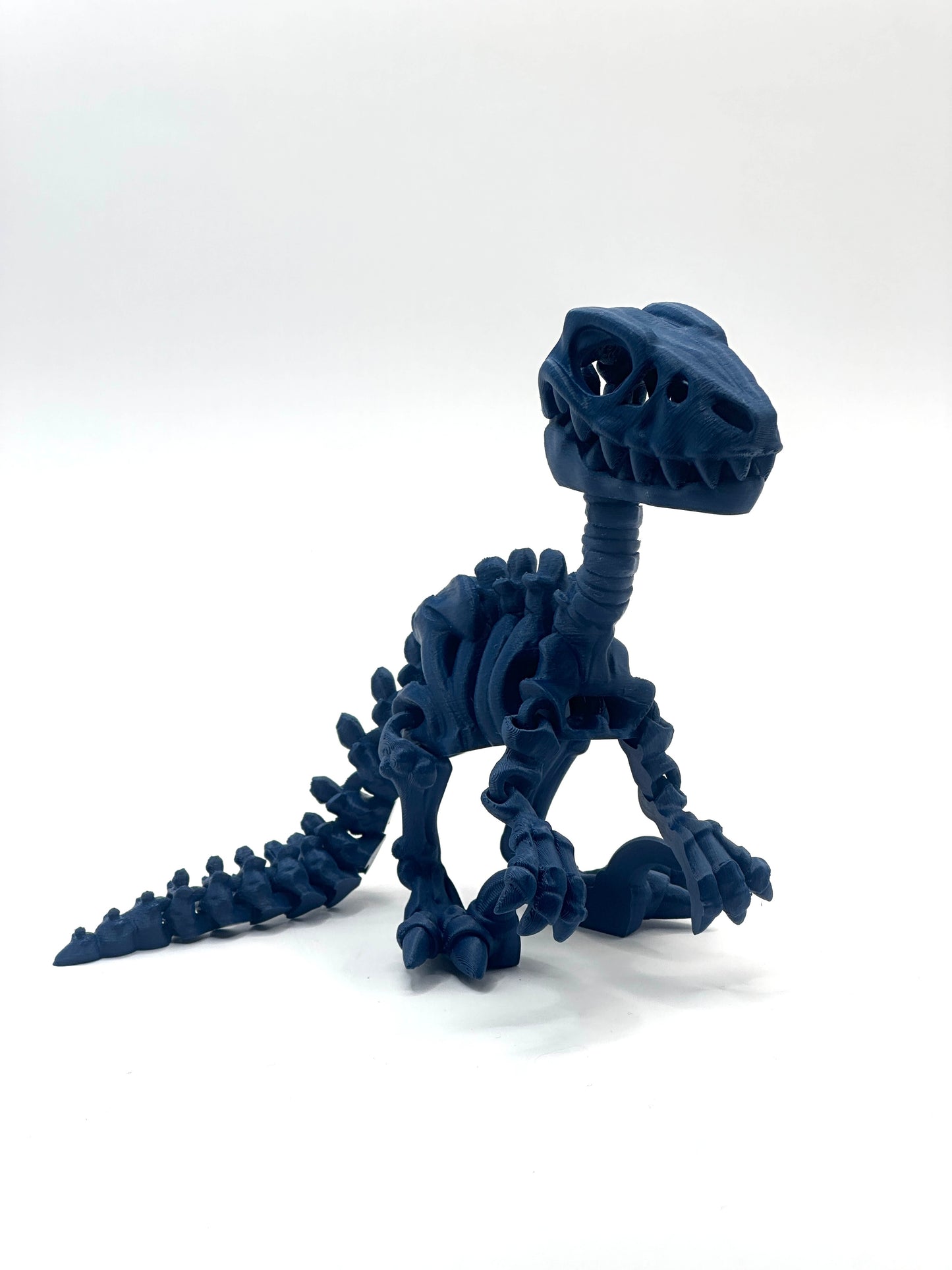Skeleton Raptor