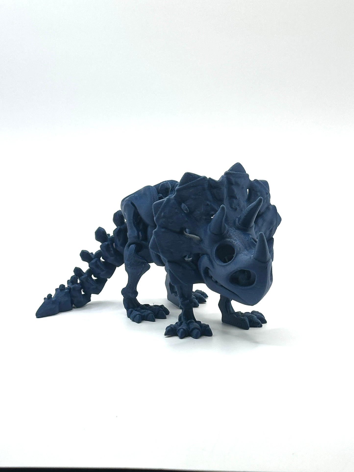 Skeleton Triceratops