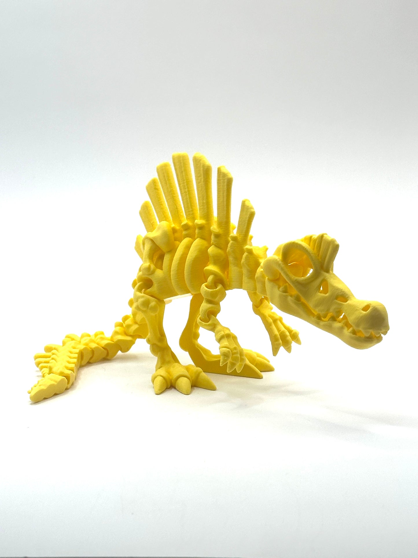 Skeleton Spinosaurus