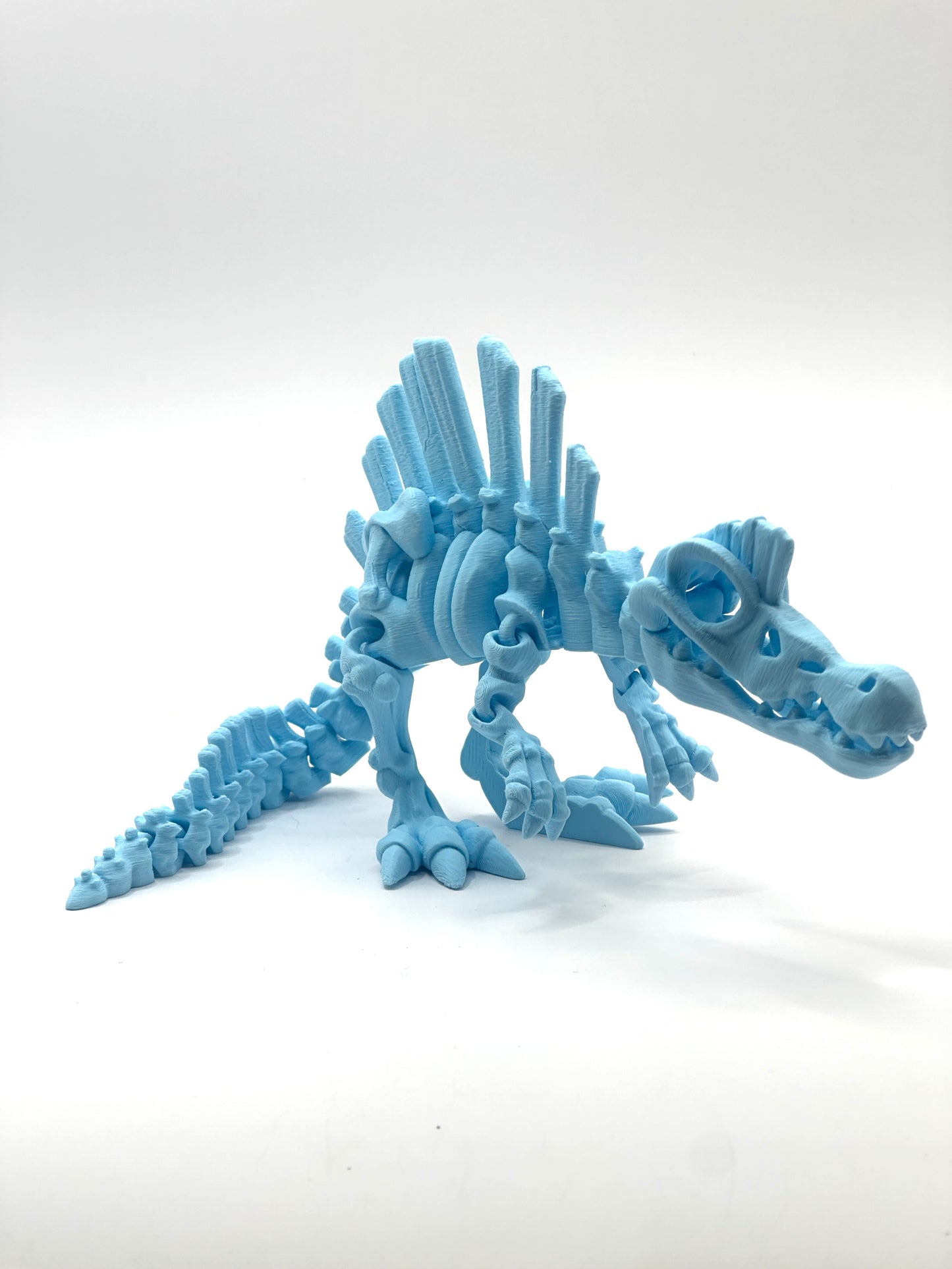 Skeleton Spinosaurus