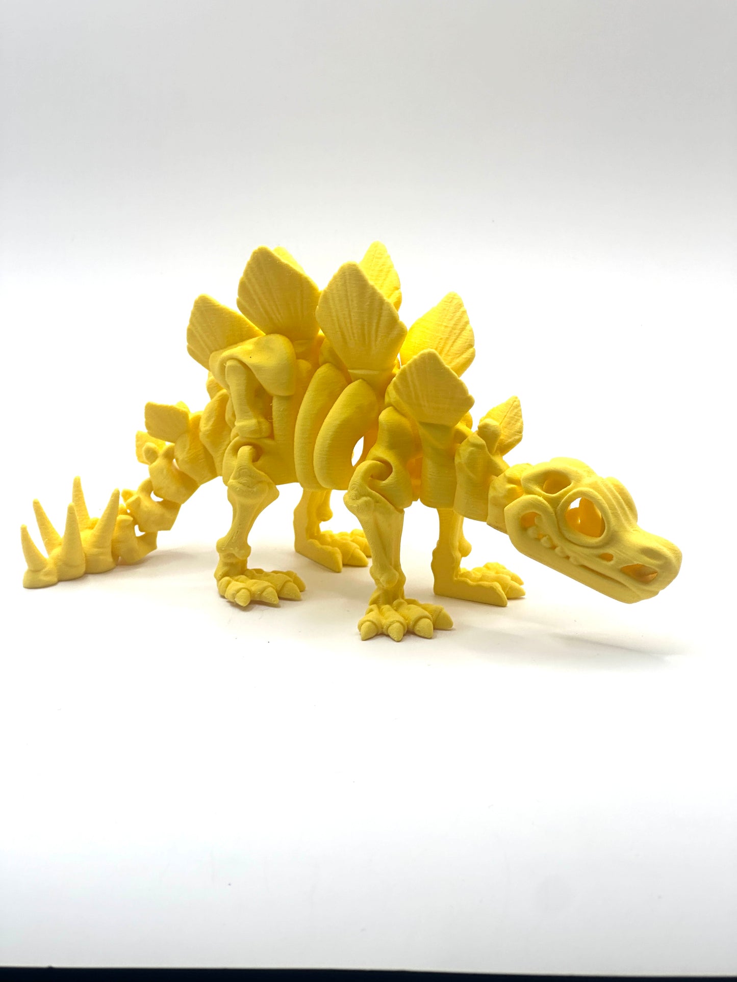 Skeleton Stegosaurus