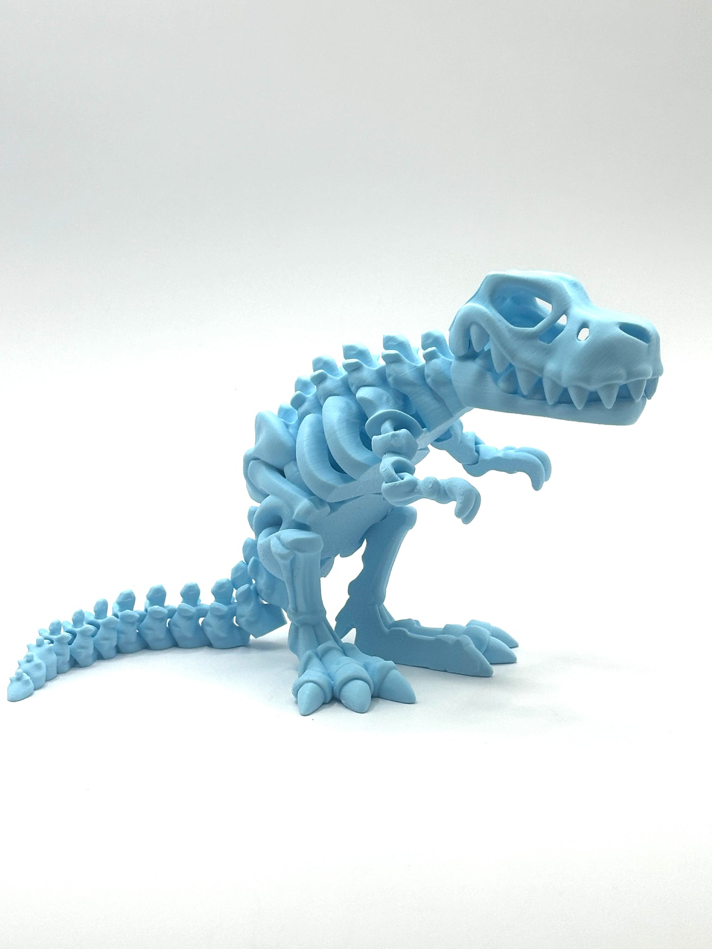 Skeleton T-Rex