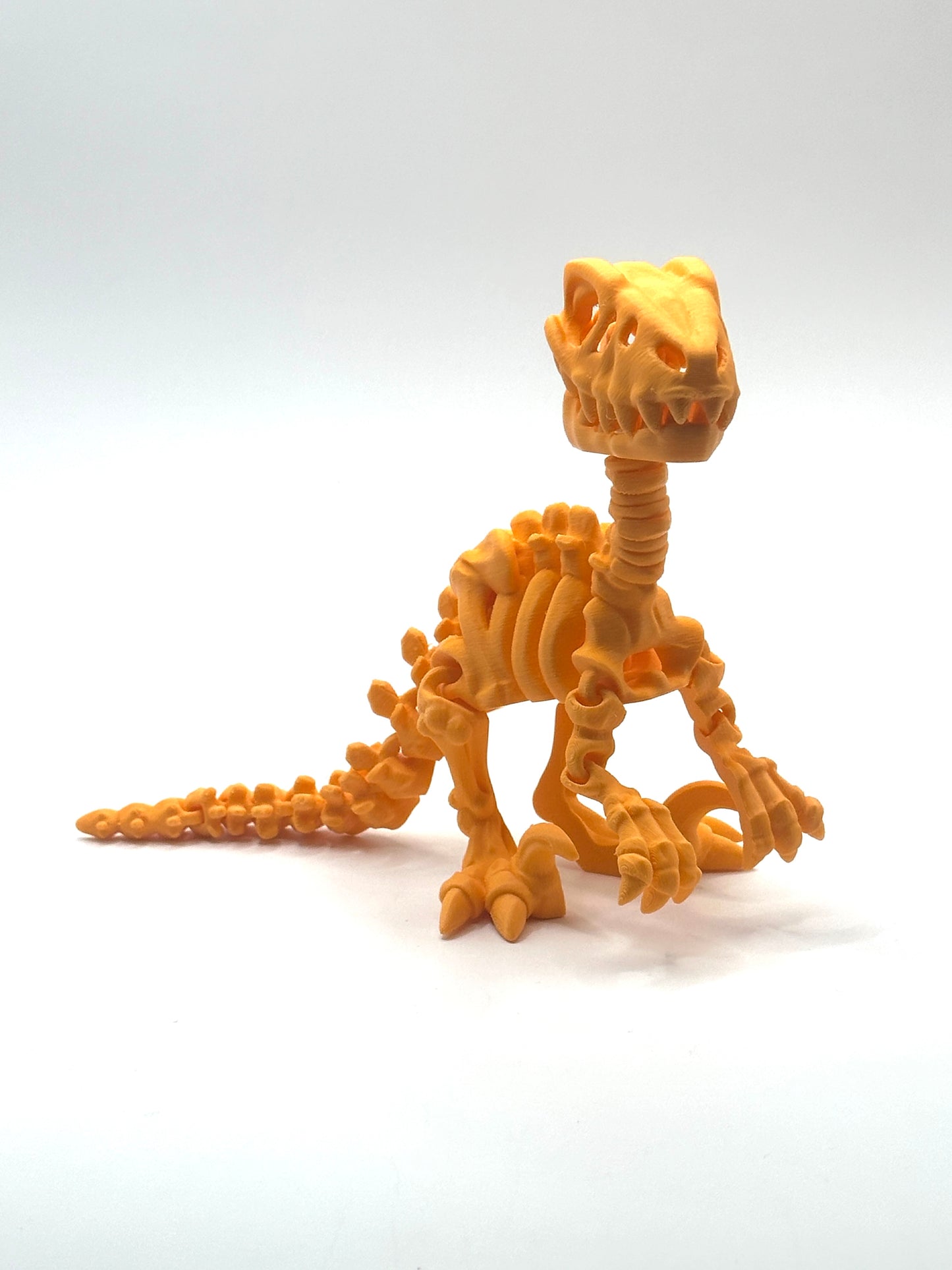 Skeleton Raptor
