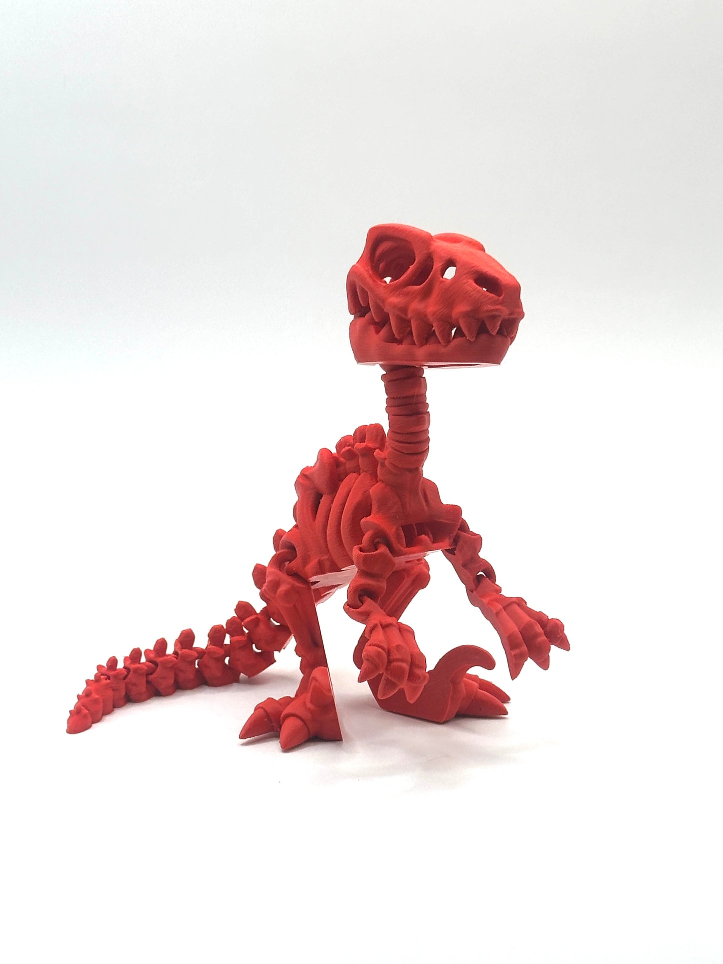 Skeleton Raptor
