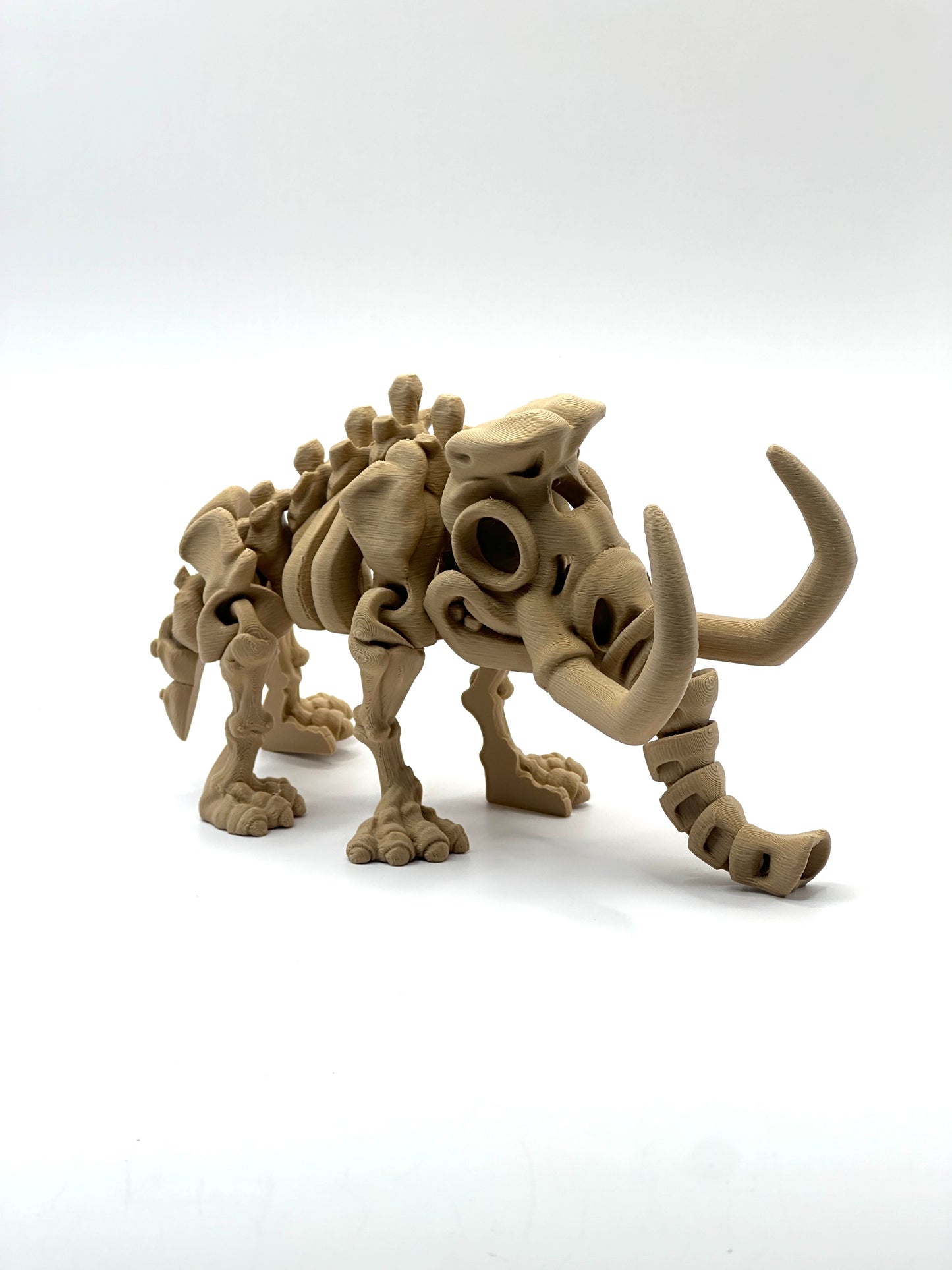 Skeleton Mammoth