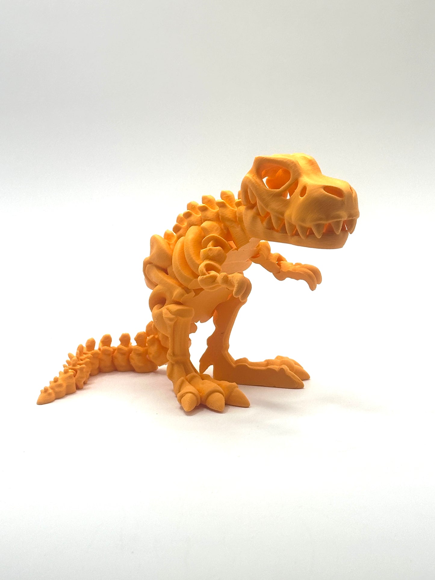 Skeleton T-Rex