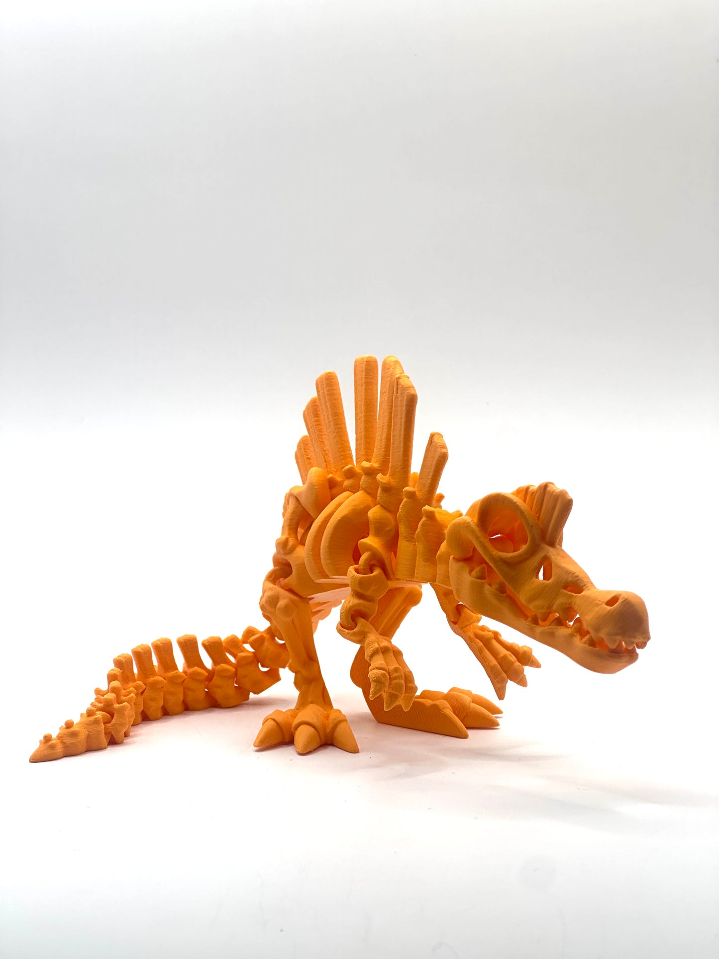 Skeleton Spinosaurus