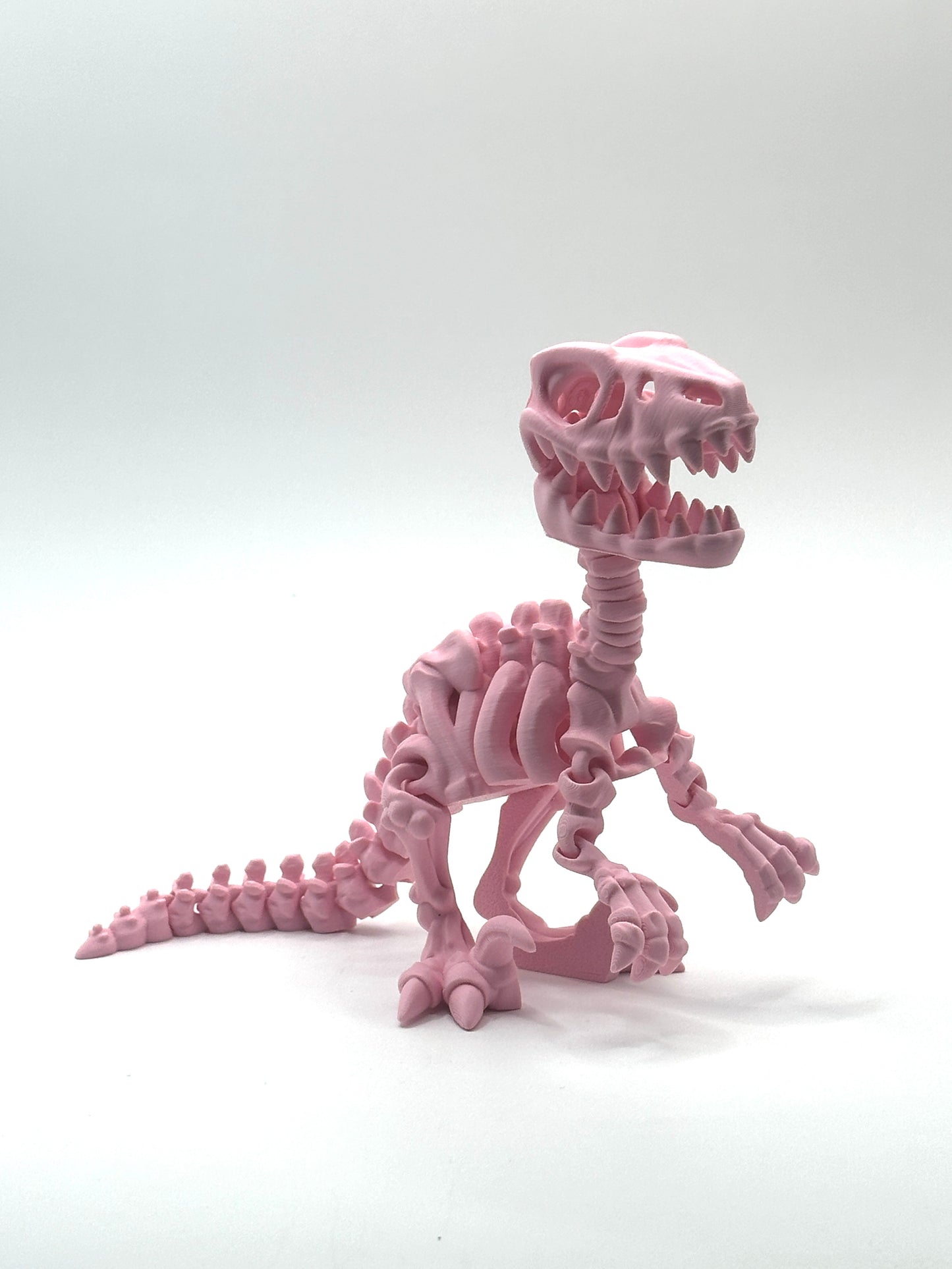 Skeleton Raptor