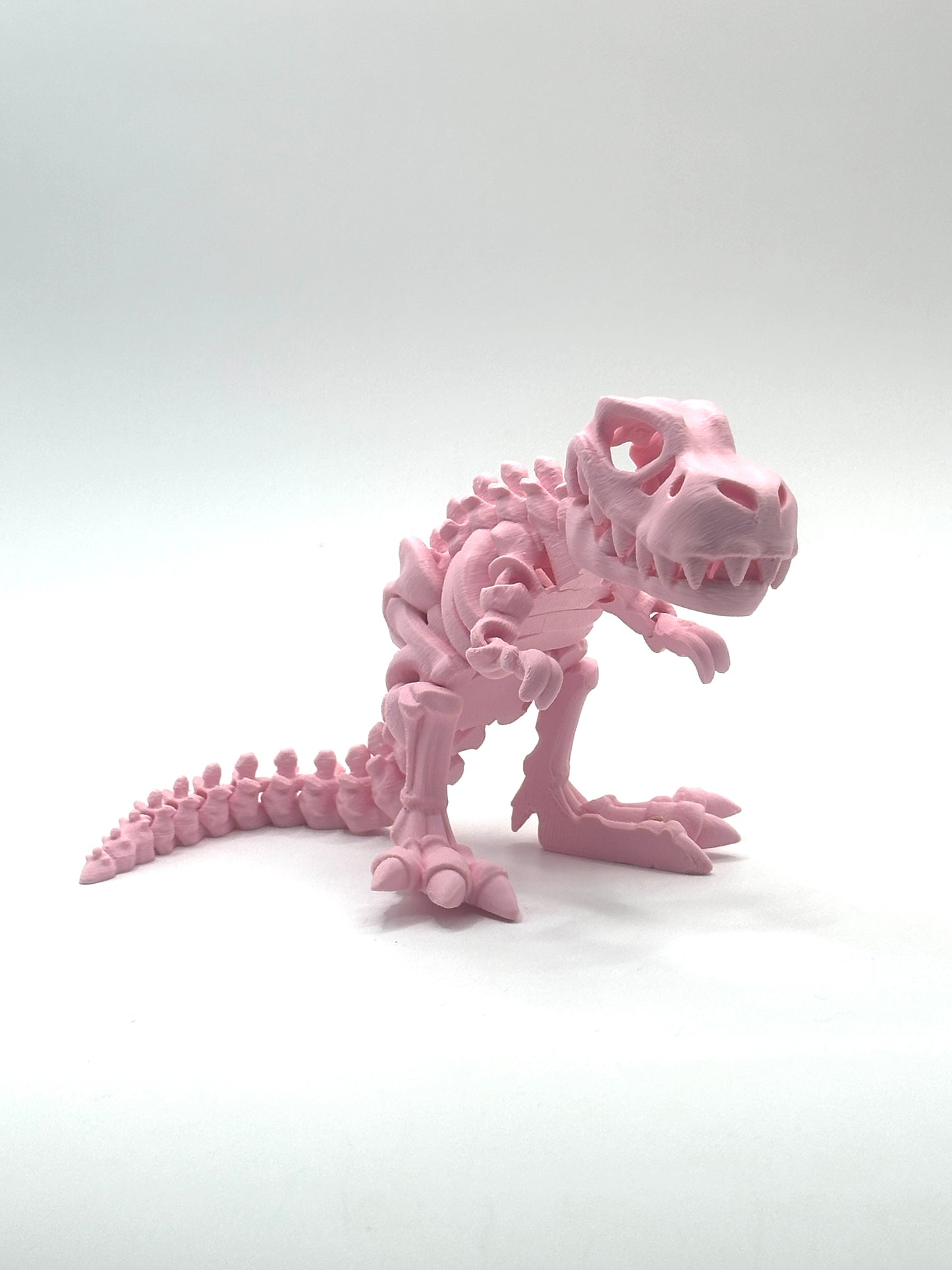Skeleton T-Rex