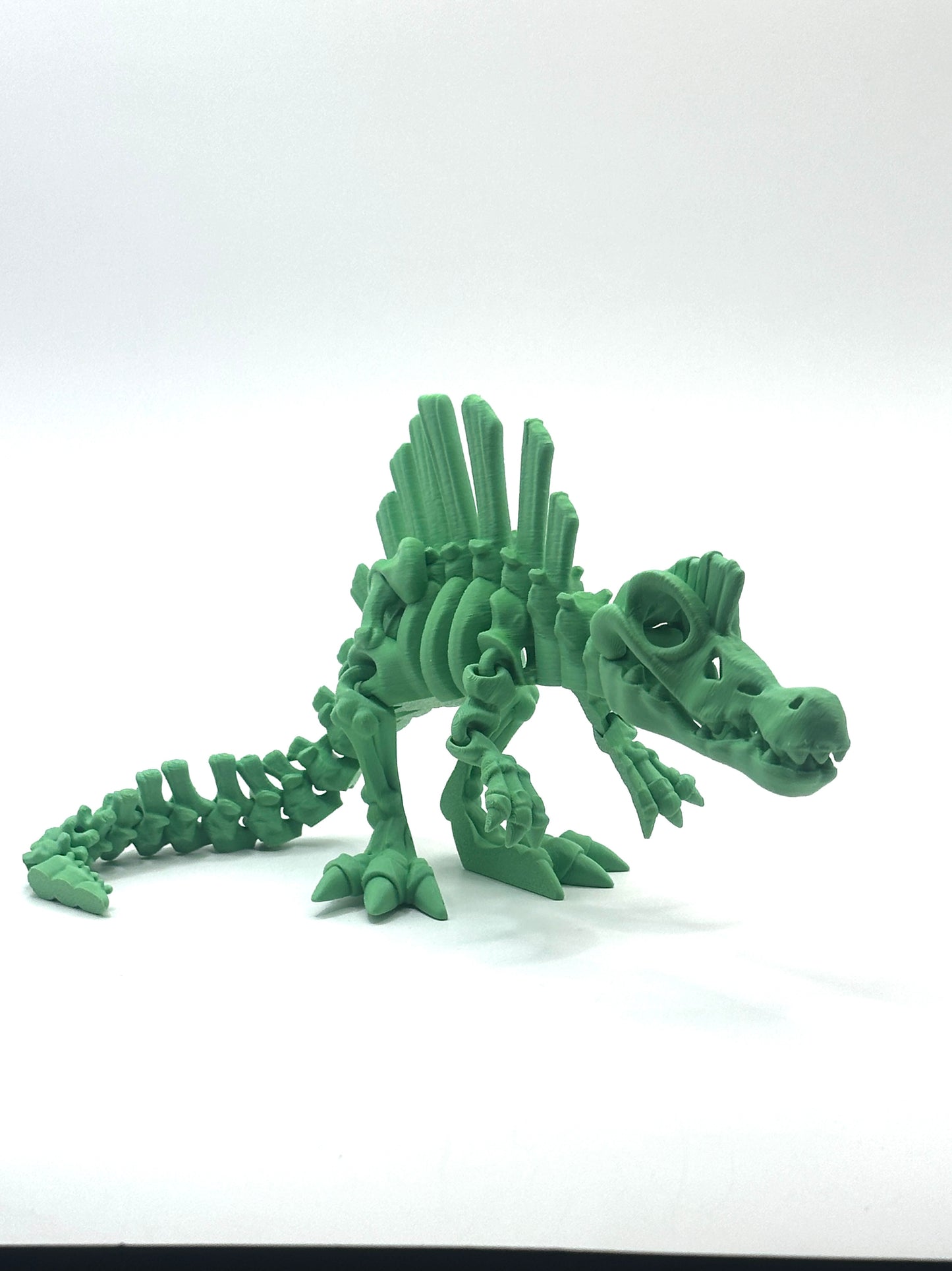 Skeleton Spinosaurus
