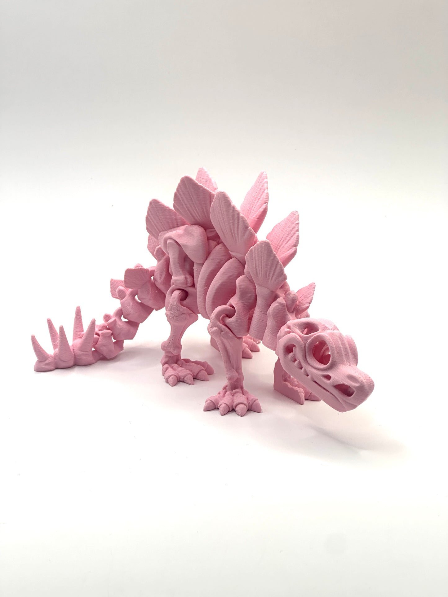 Skeleton Stegosaurus