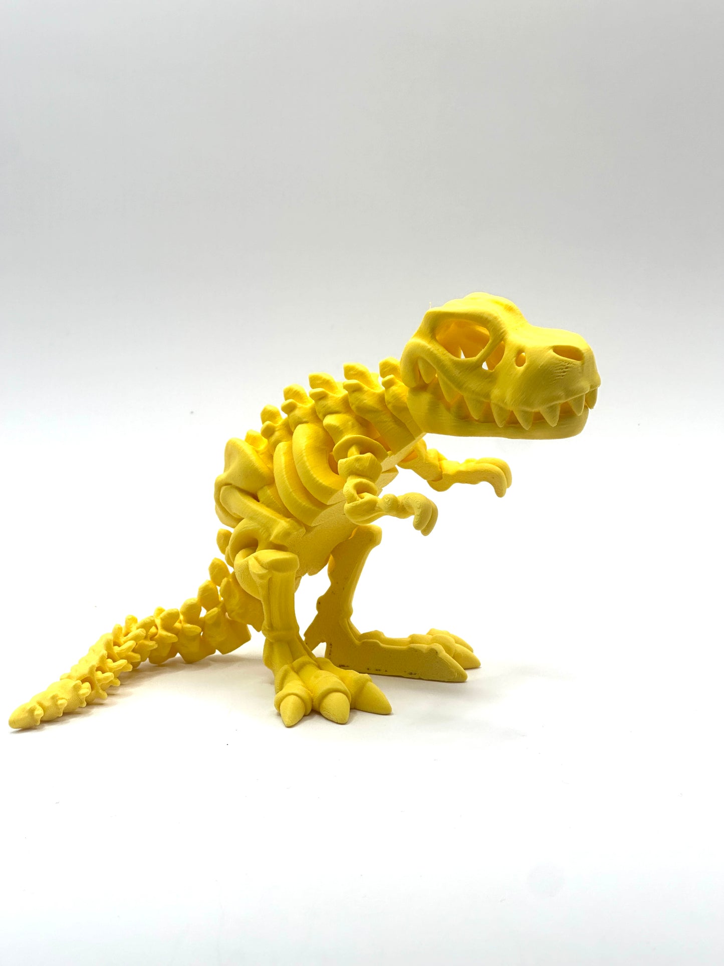 Skeleton T-Rex