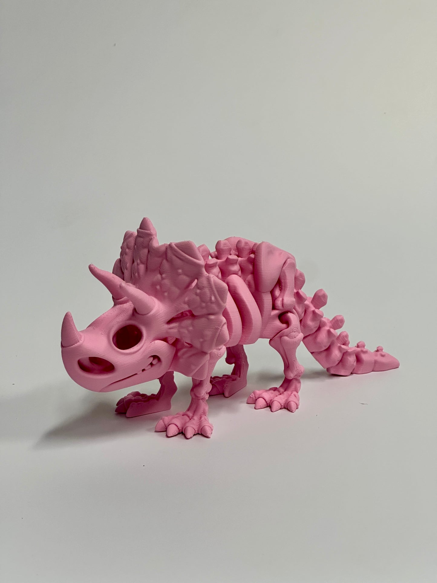 Skeleton Triceratops