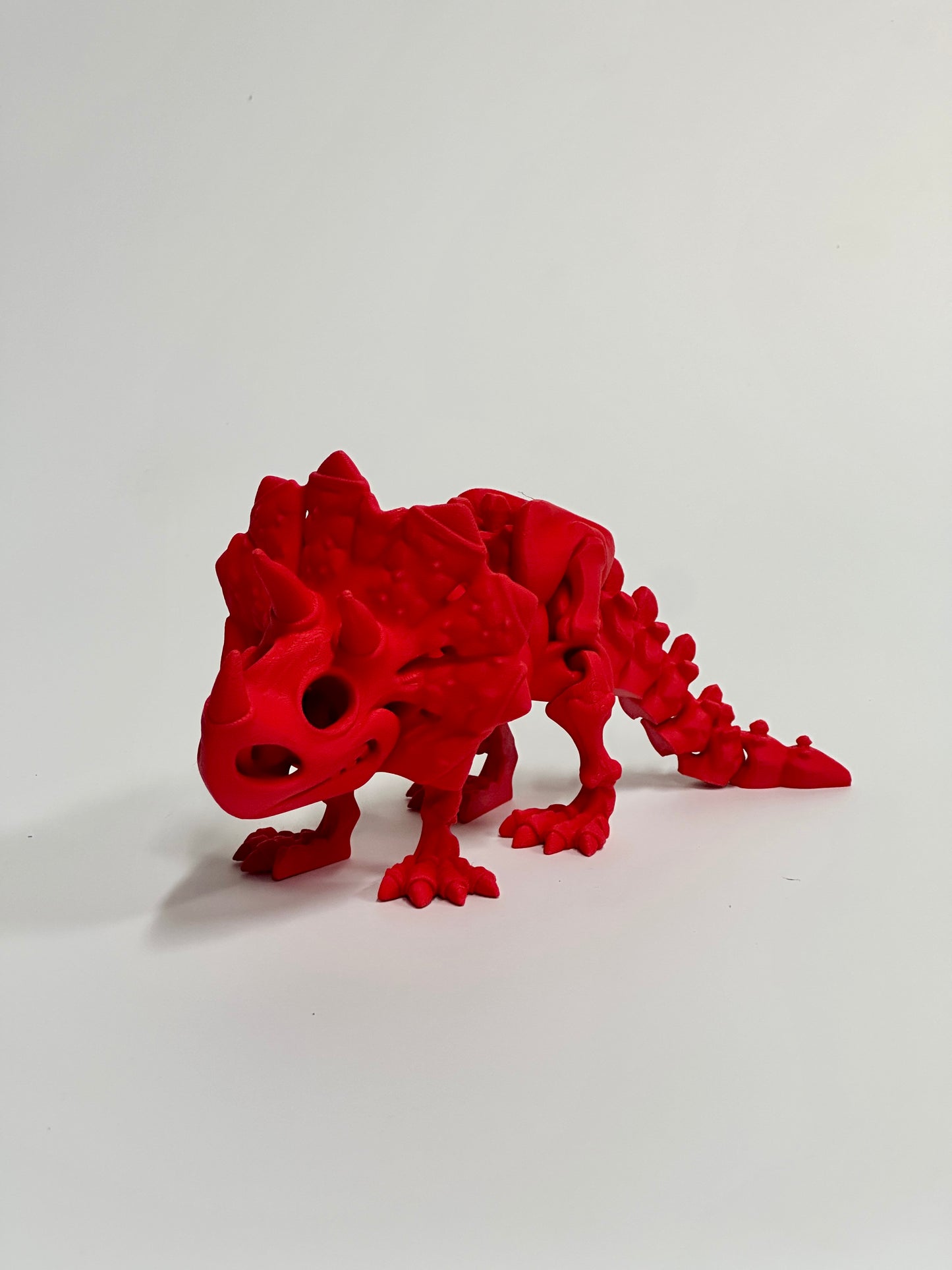 Skeleton Triceratops