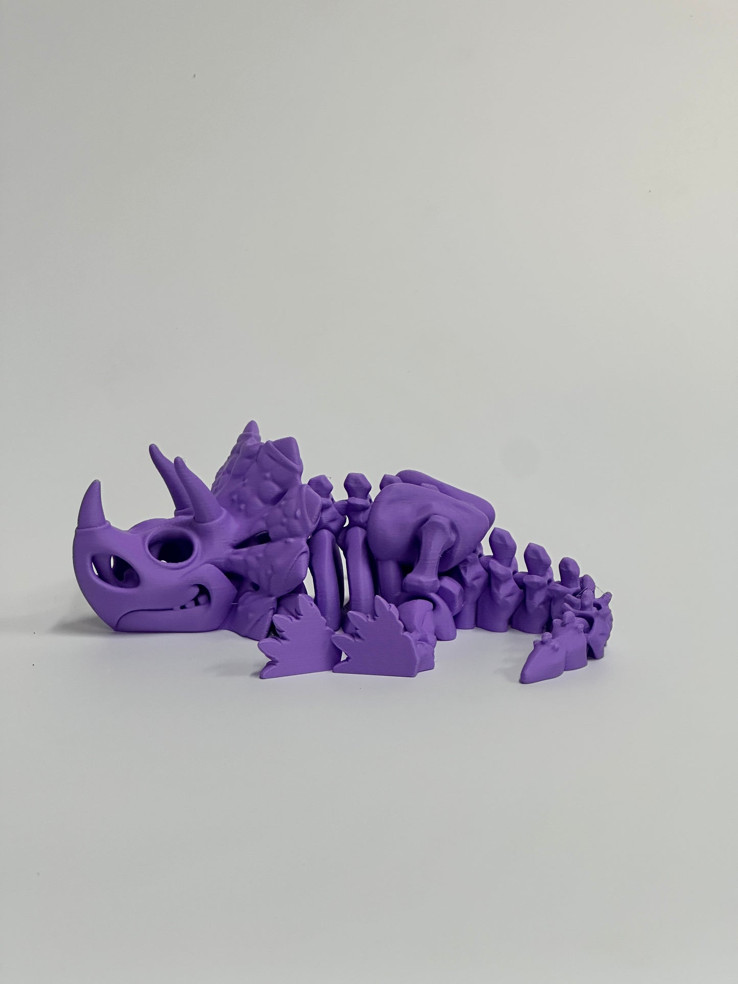 Skeleton Triceratops