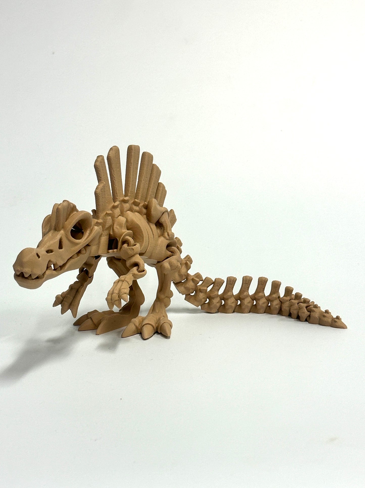 Skeleton Spinosaurus