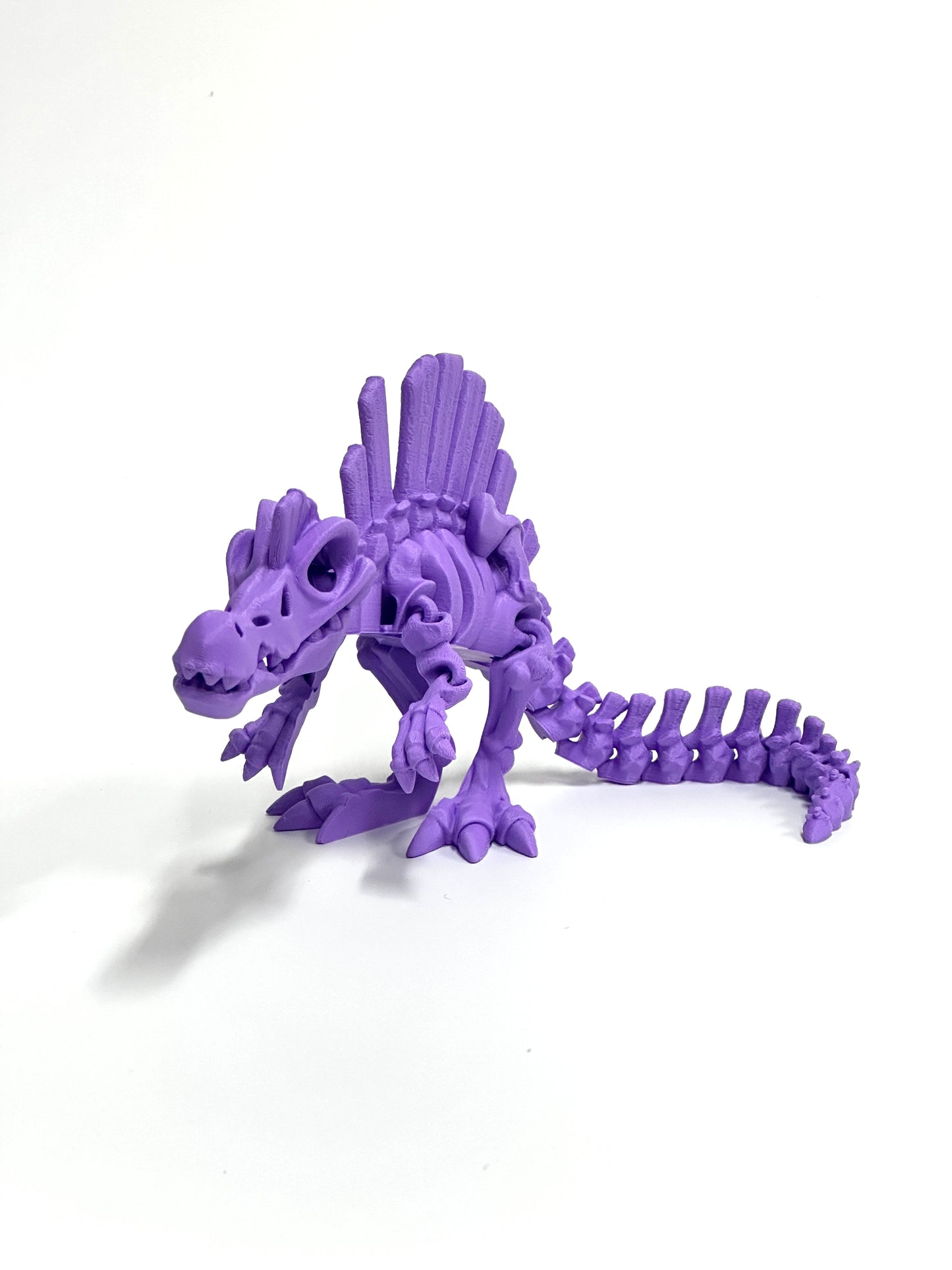 Skeleton Spinosaurus