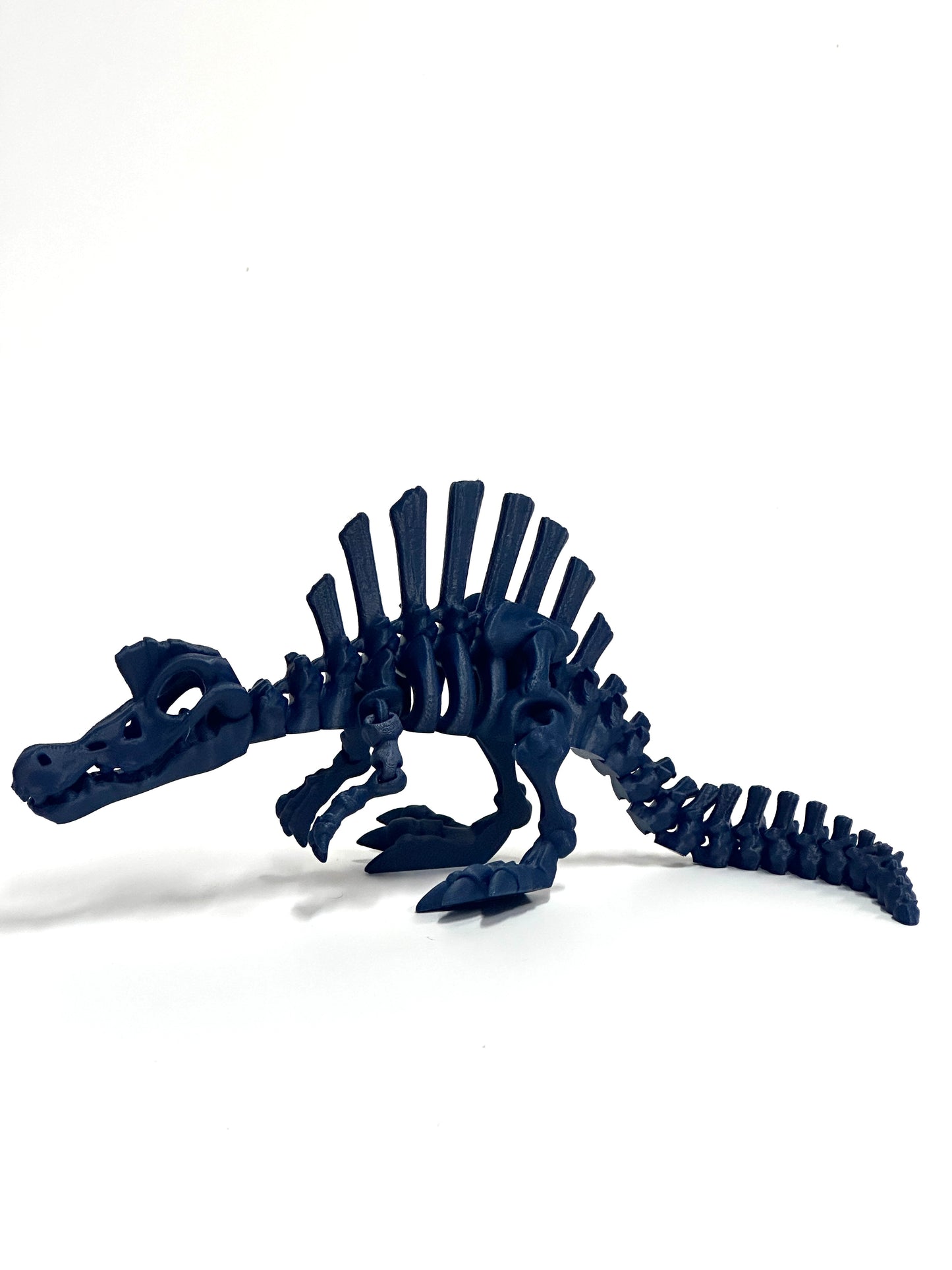 Skeleton Spinosaurus