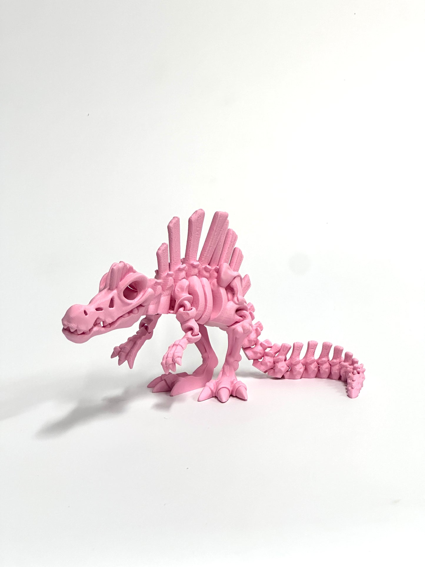 Skeleton Spinosaurus