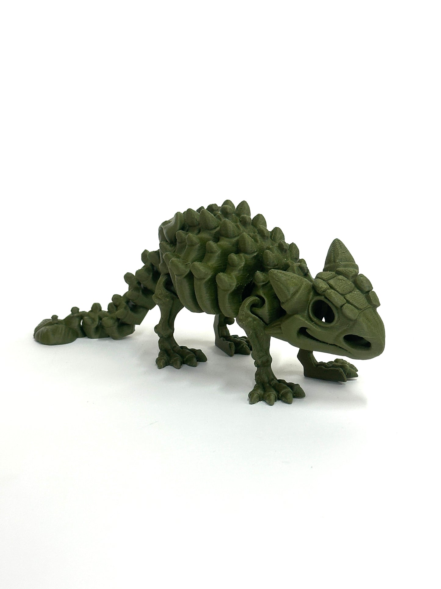 Skeleton Ankylosaurus