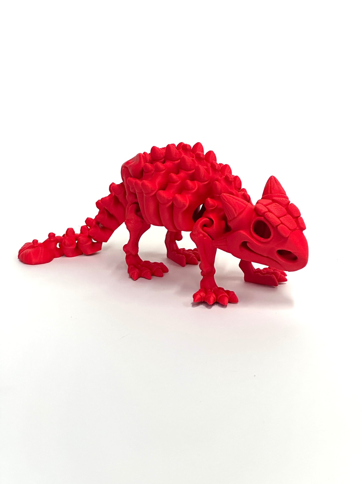 Skeleton Ankylosaurus