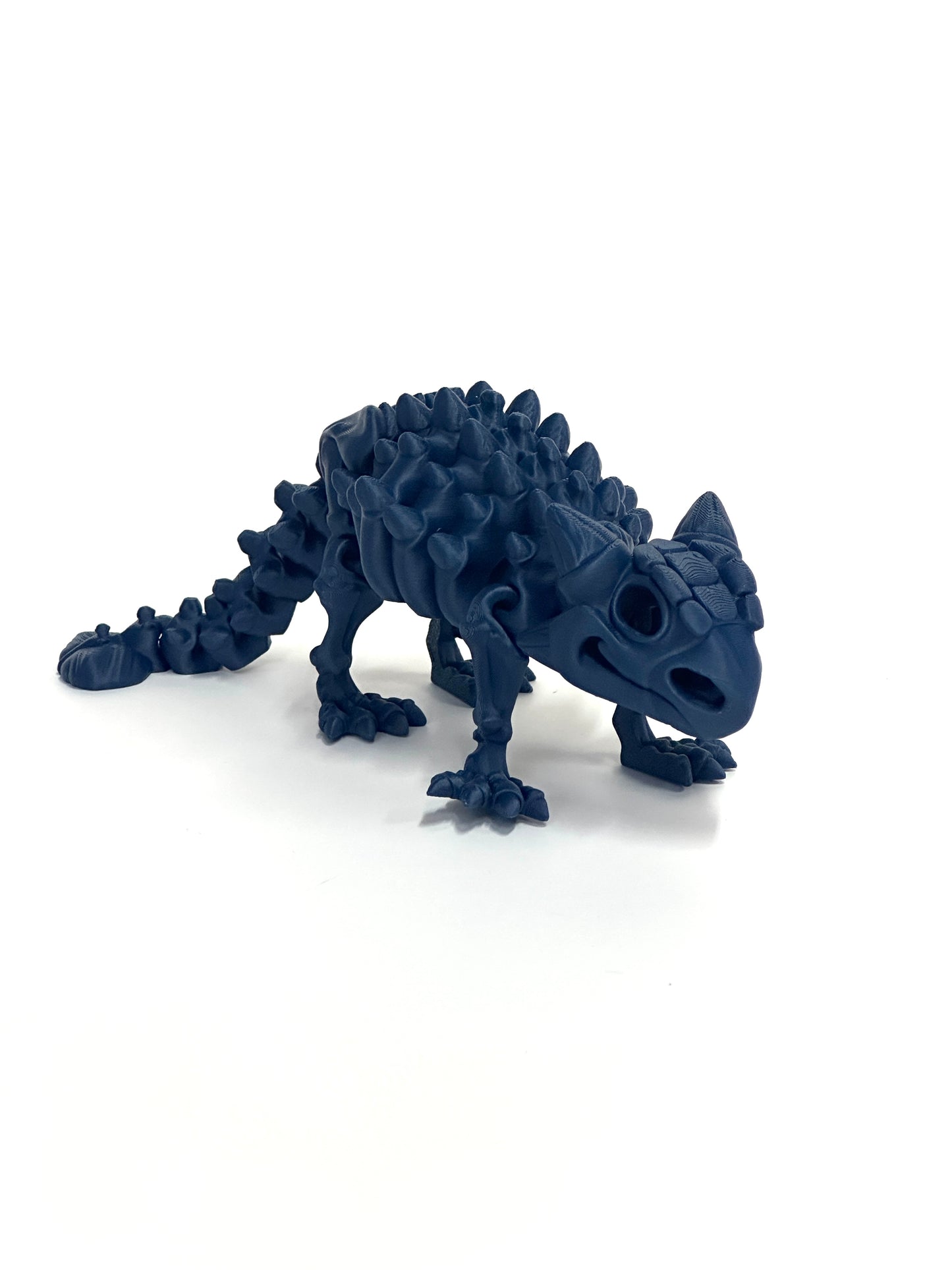 Skeleton Ankylosaurus