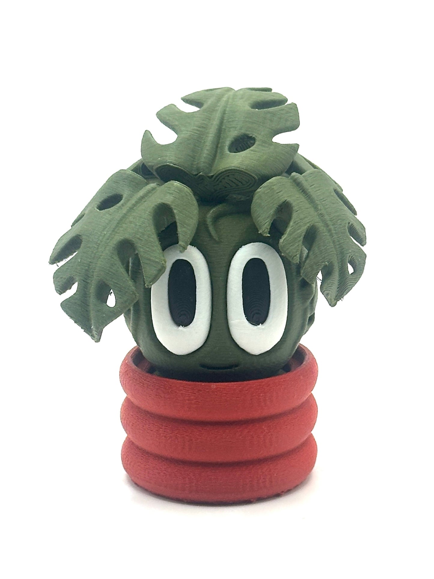Milo the Monstera