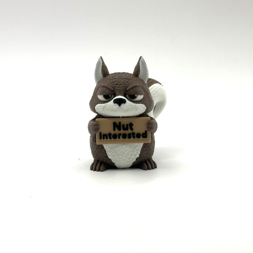 Nut Interested Squirrel - front