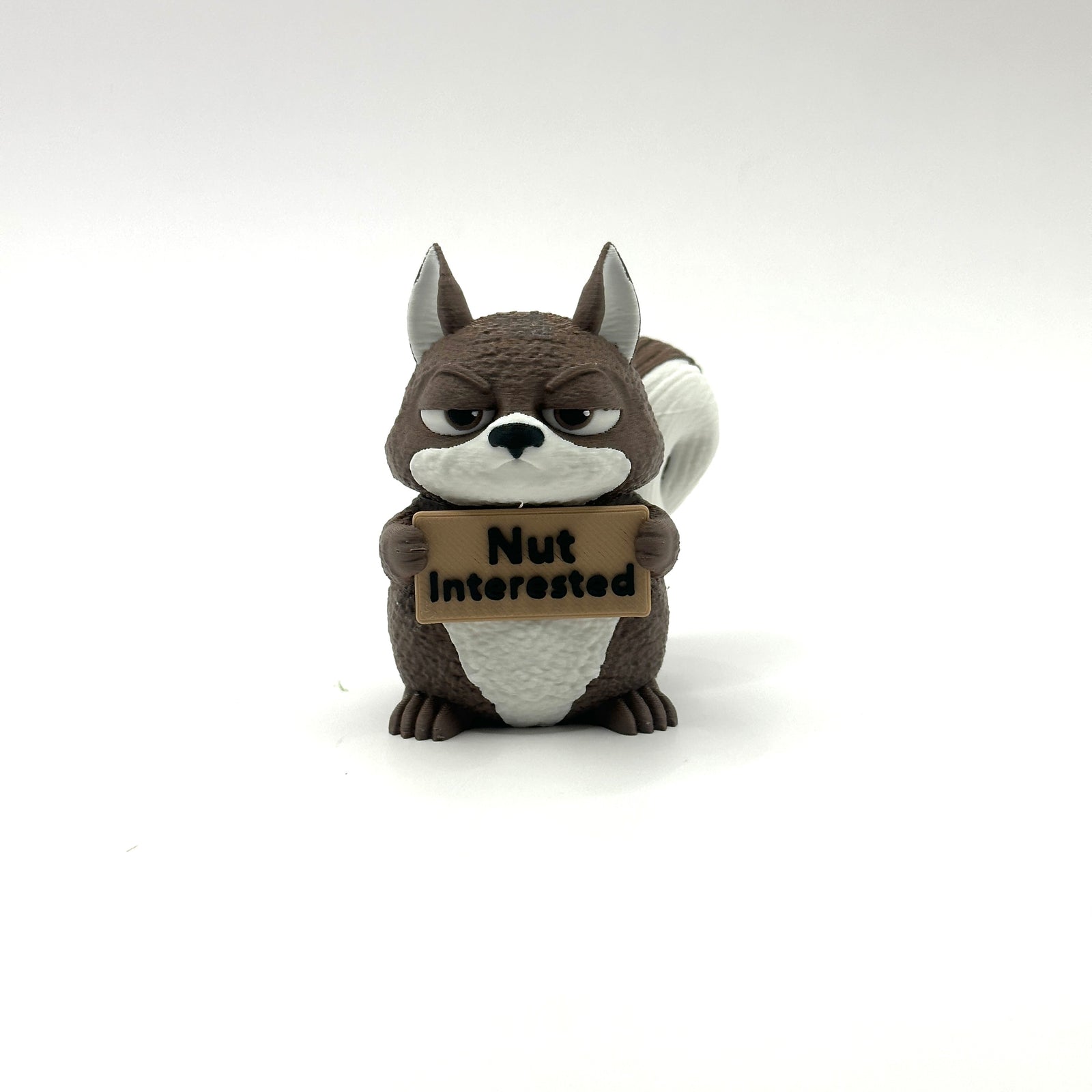 Nut Interested Squirrel - front
