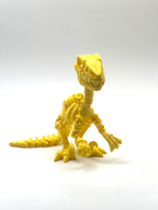 Skeleton Raptor