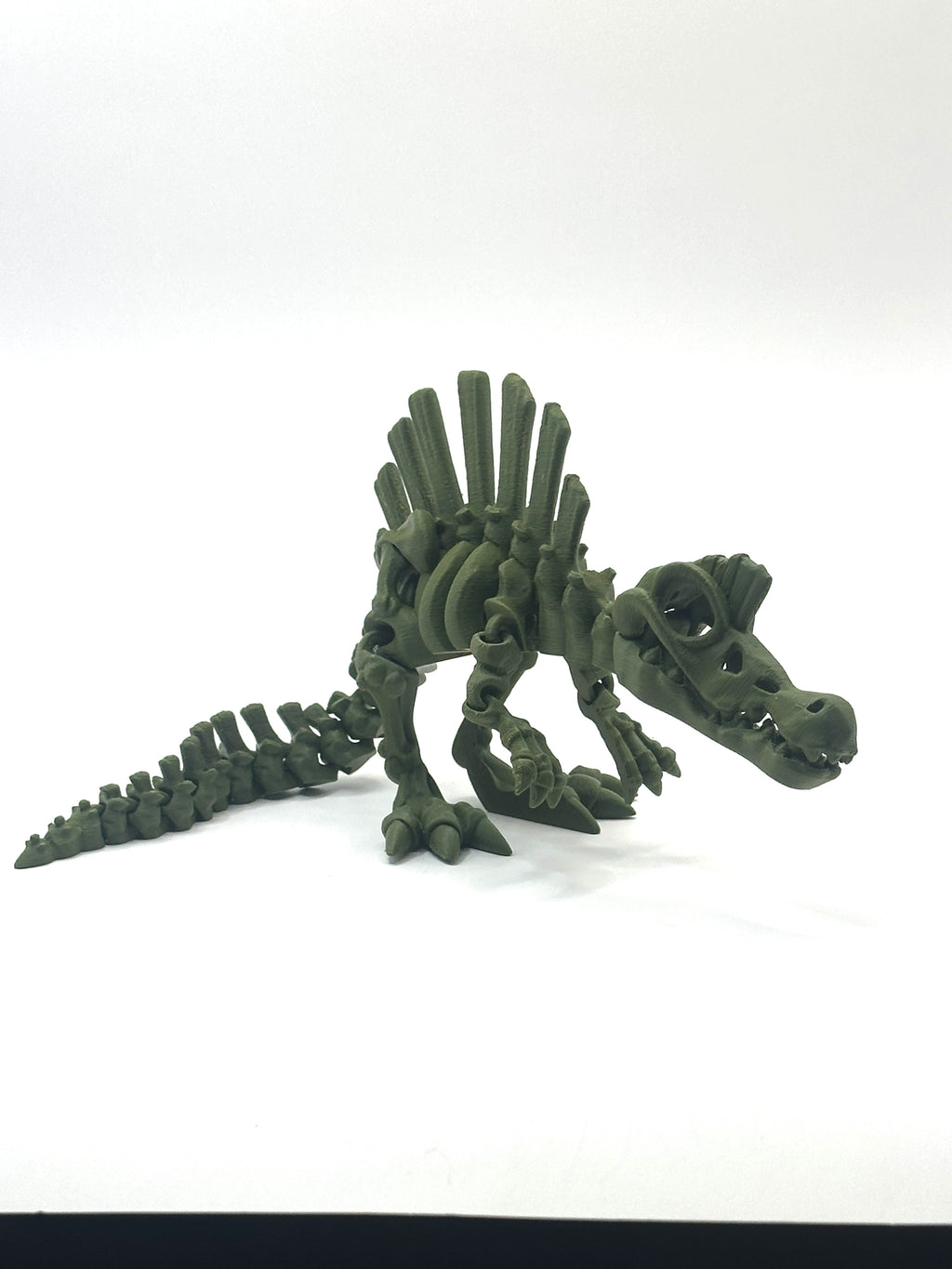 Skeleton Spinosaurus