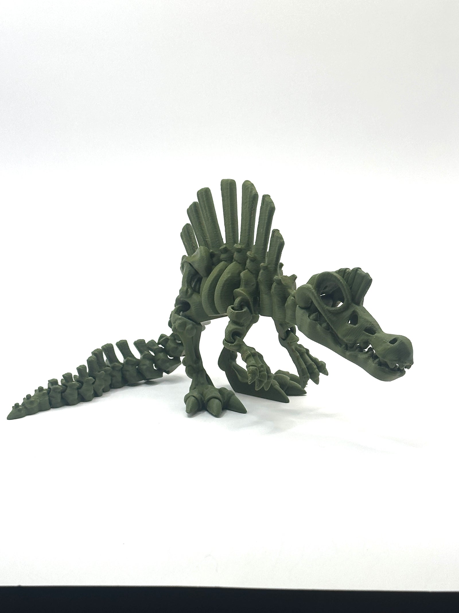 Skeleton Spinosaurus