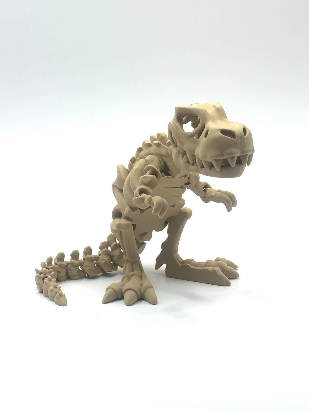 Skeleton T-Rex