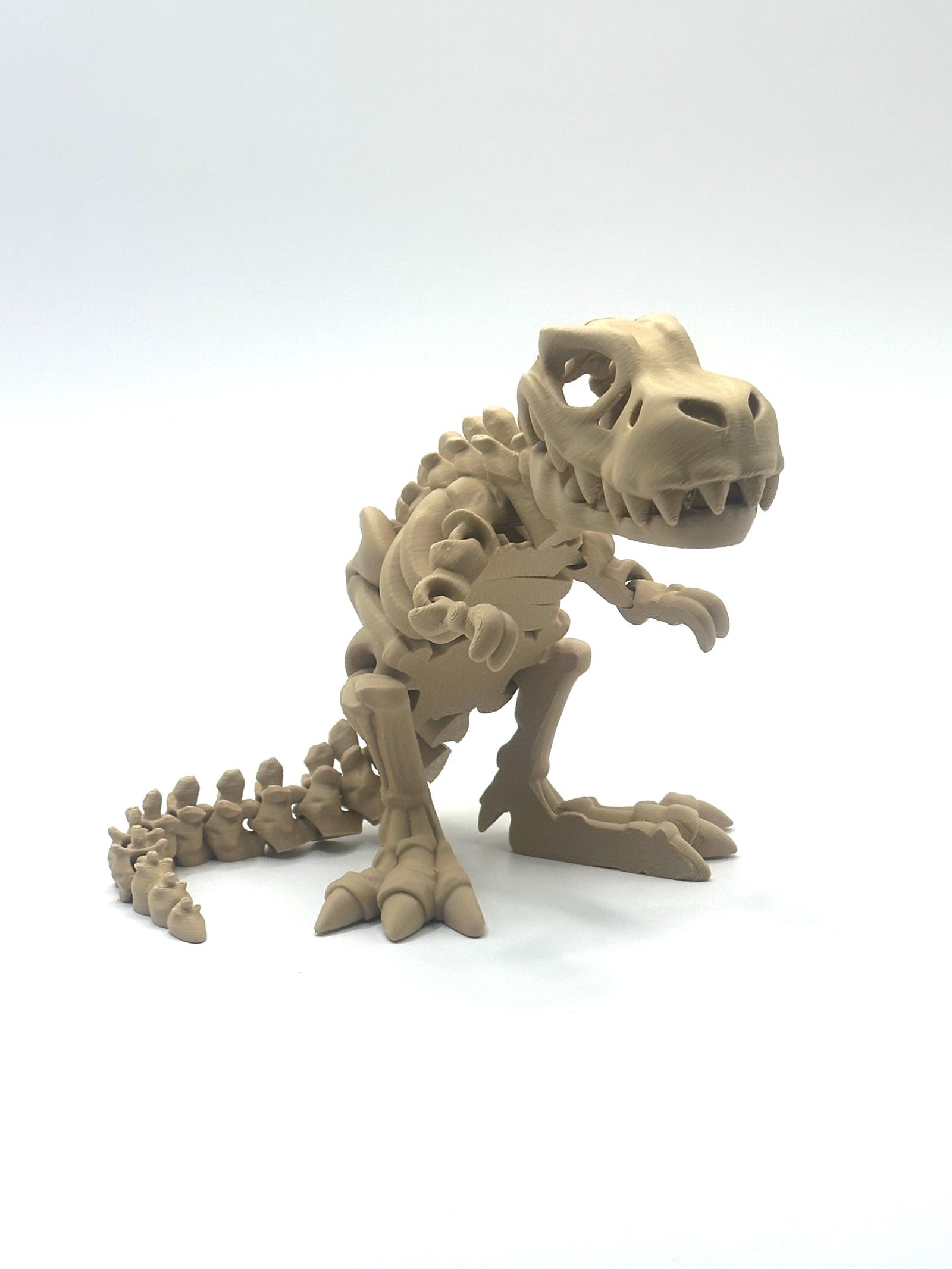 Skeleton T-Rex