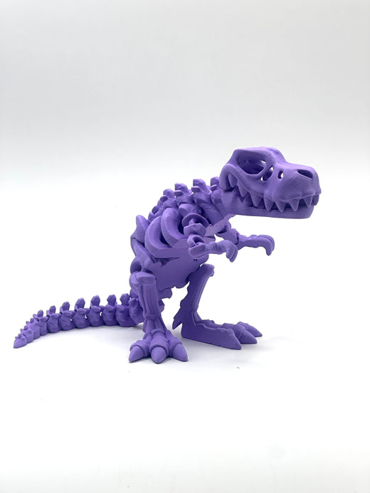 Skeleton T-Rex
