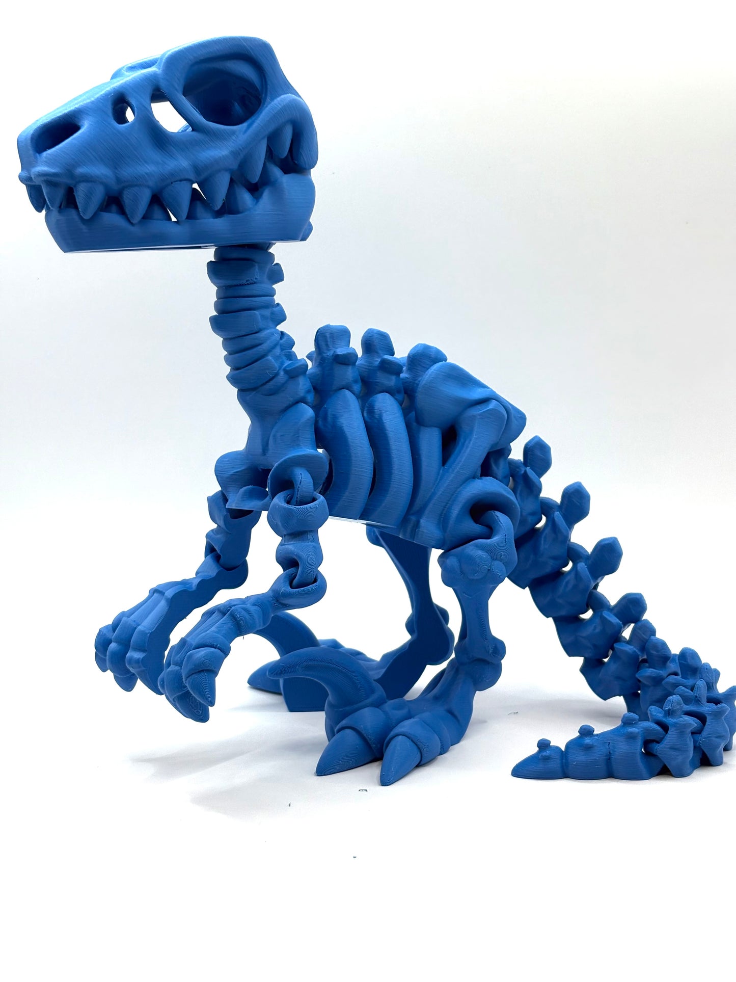 Skeleton Raptor
