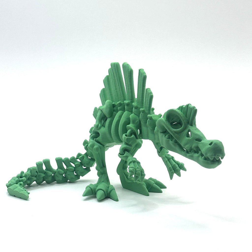 Skeleton Spinosaurus