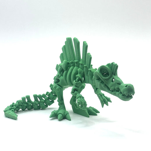 Skeleton Spinosaurus